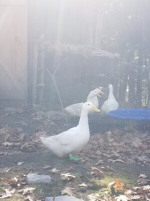 20201110_105031.jpg