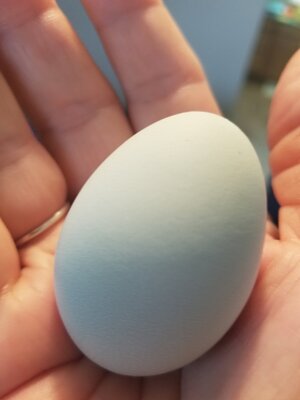 20201130_091439.jpg