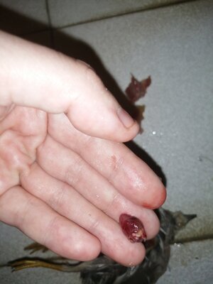 IMG_20201202_011252.jpg