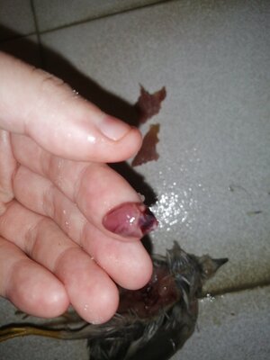 IMG_20201202_011247.jpg