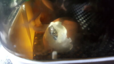 20201204_012202.jpg
