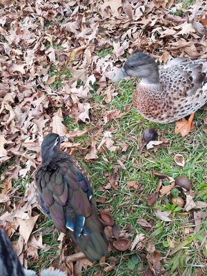 20201203_154410.jpg