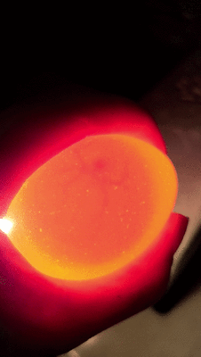 20201206_173008_1.gif