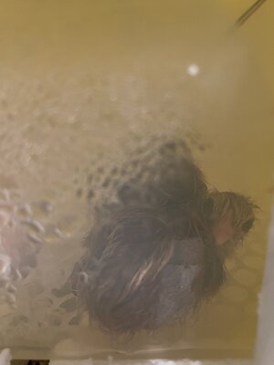 D40F5CB2-815C-4272-A9EE-5D46760CBA78.jpeg