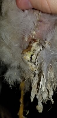 20201209_083605.jpg