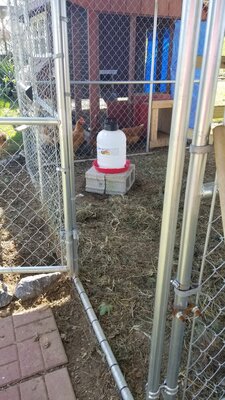 20201003_144649.jpg