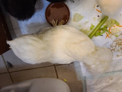 20201210_113841.jpg