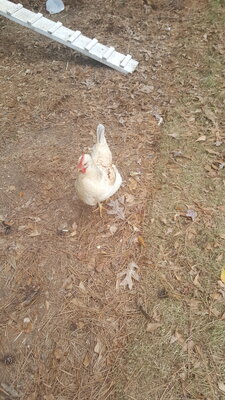 20201204_084706.jpg