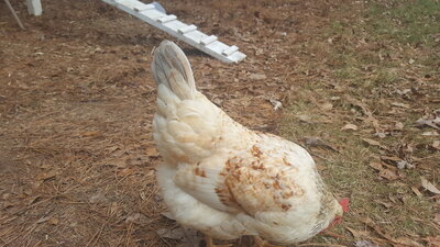 20201204_084721.jpg