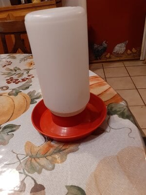 20201211_181522.jpg