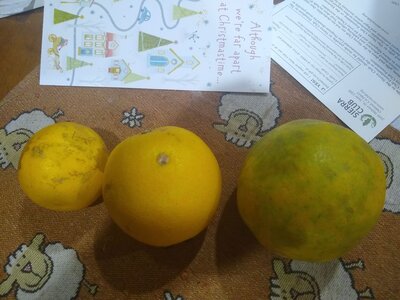 IMG_20201212_212552836.jpg