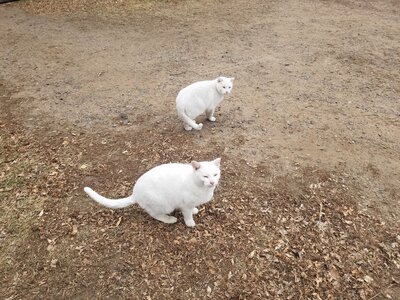20201213_093948.jpg