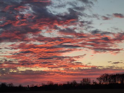 20201212_164642.jpg