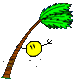 smiley windy.gif