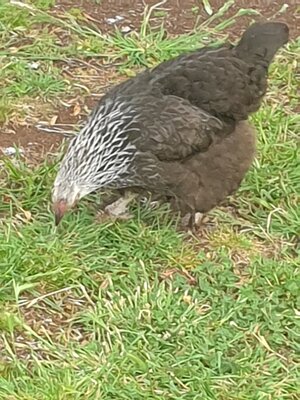 20201214_071010.jpg
