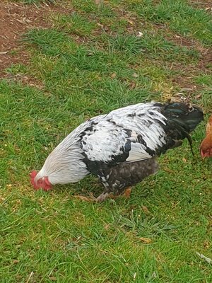 20201214_070919.jpg