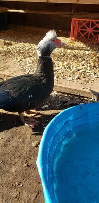 20201215_103803.jpg