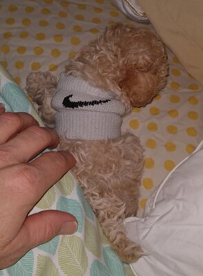 IMG_20201126_074518431~2.jpg