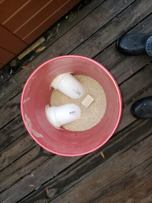 20201216_072055.jpg