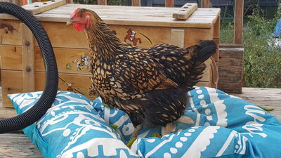 20201007_174147.jpg