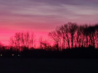 20201215_170403.jpg