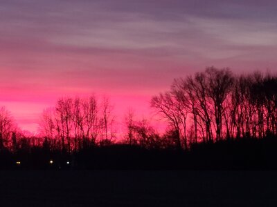 20201215_170359.jpg