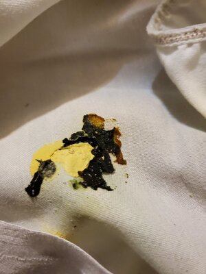20201217_085340.jpg