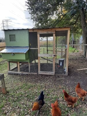 Coop side view.jpg Coop side view.jpg