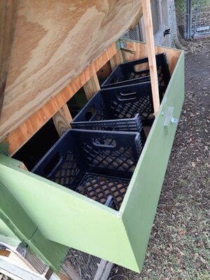 Nest boxes inside.jpg