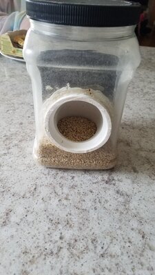 20201218_140626.jpg