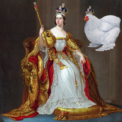 Queen Vics Cochins.png