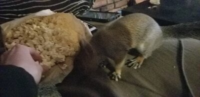 20201219_192906.jpg