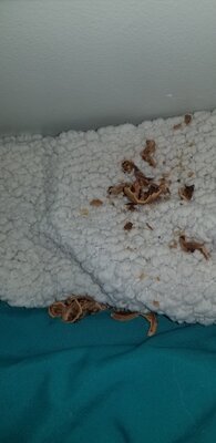 20201220_094156.jpg