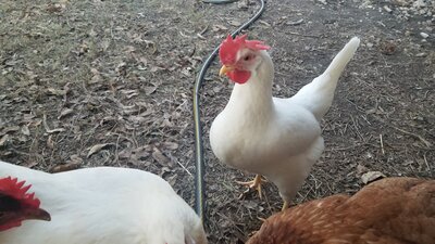 20201220_172621.jpg
