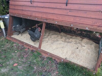 Non Spill Chicken Feeder for Small Runs