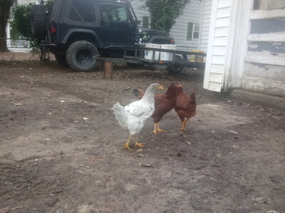 20201221_112927.jpg