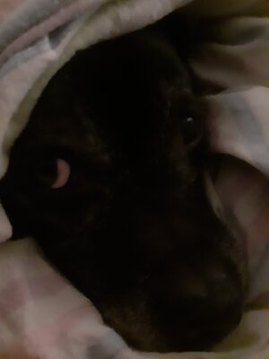 20201209_172400.jpg
