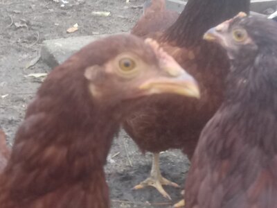 20201222_091025.jpg