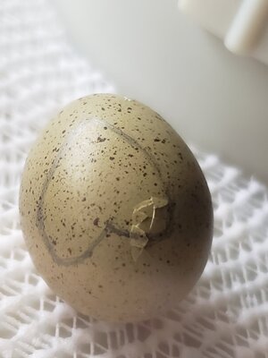20201222_102048.jpg