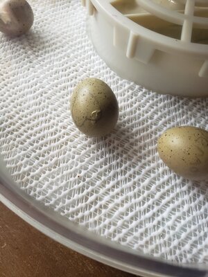 20201222_111657.jpg