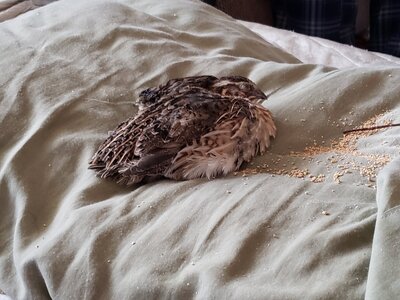 20201220_103450.jpg