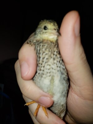 20201215_152318.jpg