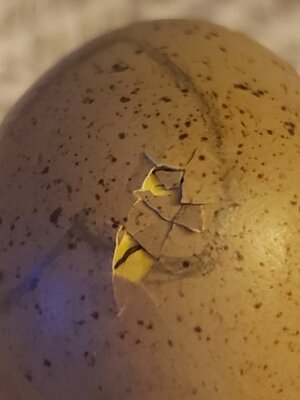 20201222_204303.jpg