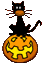 kattpumpa.gif