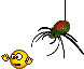 scary-spider-smiley-emoticon.gif