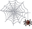 spider-web.gif