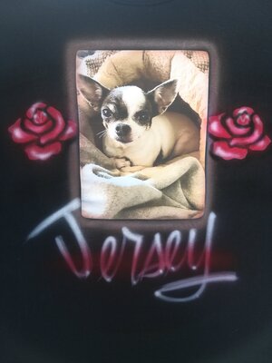 IMG_20201223_131812.jpg