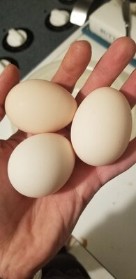 20201220_181628.jpg