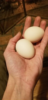 20201216_180242.jpg