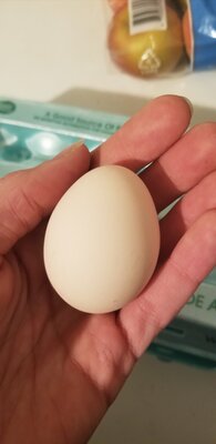 20201214_184049.jpg